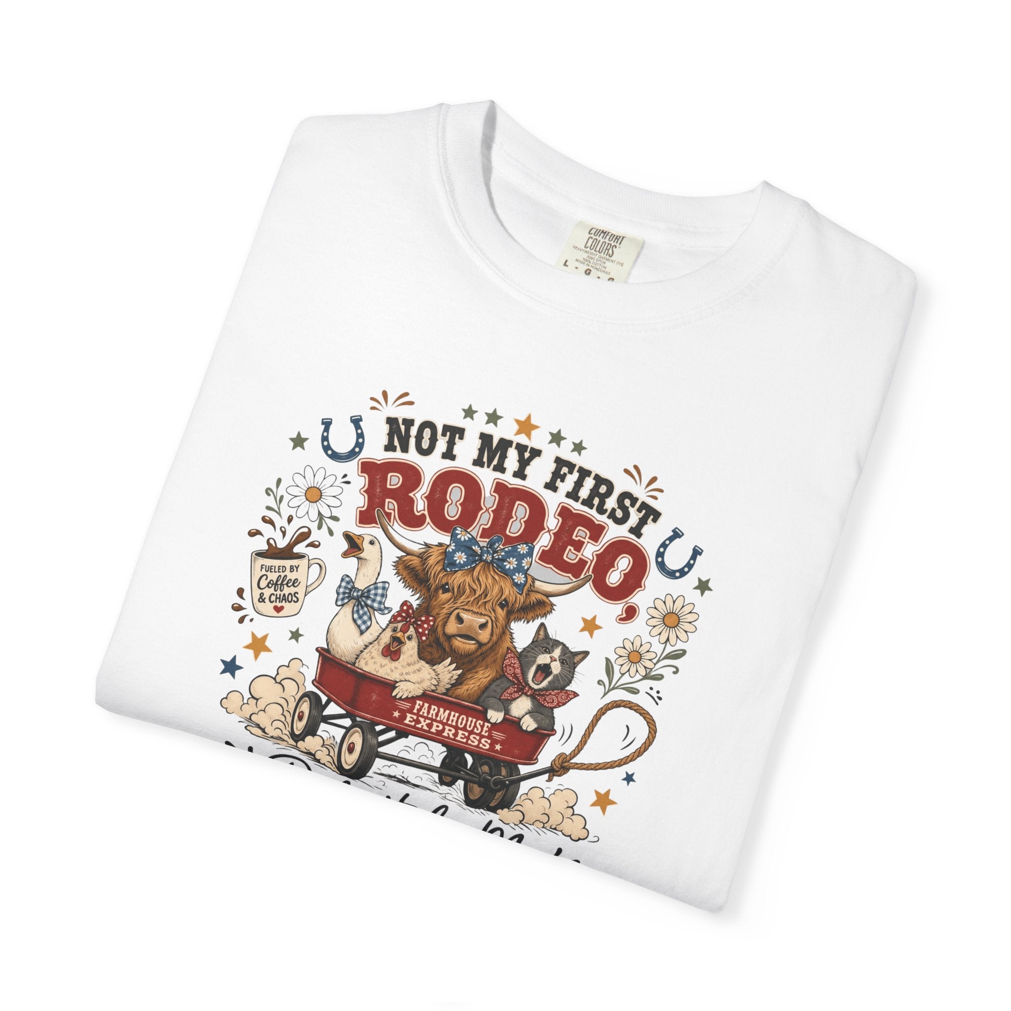 Not My First Rodeo Shirt, Funny Farm Animal Tee, Western Country T-Shirt