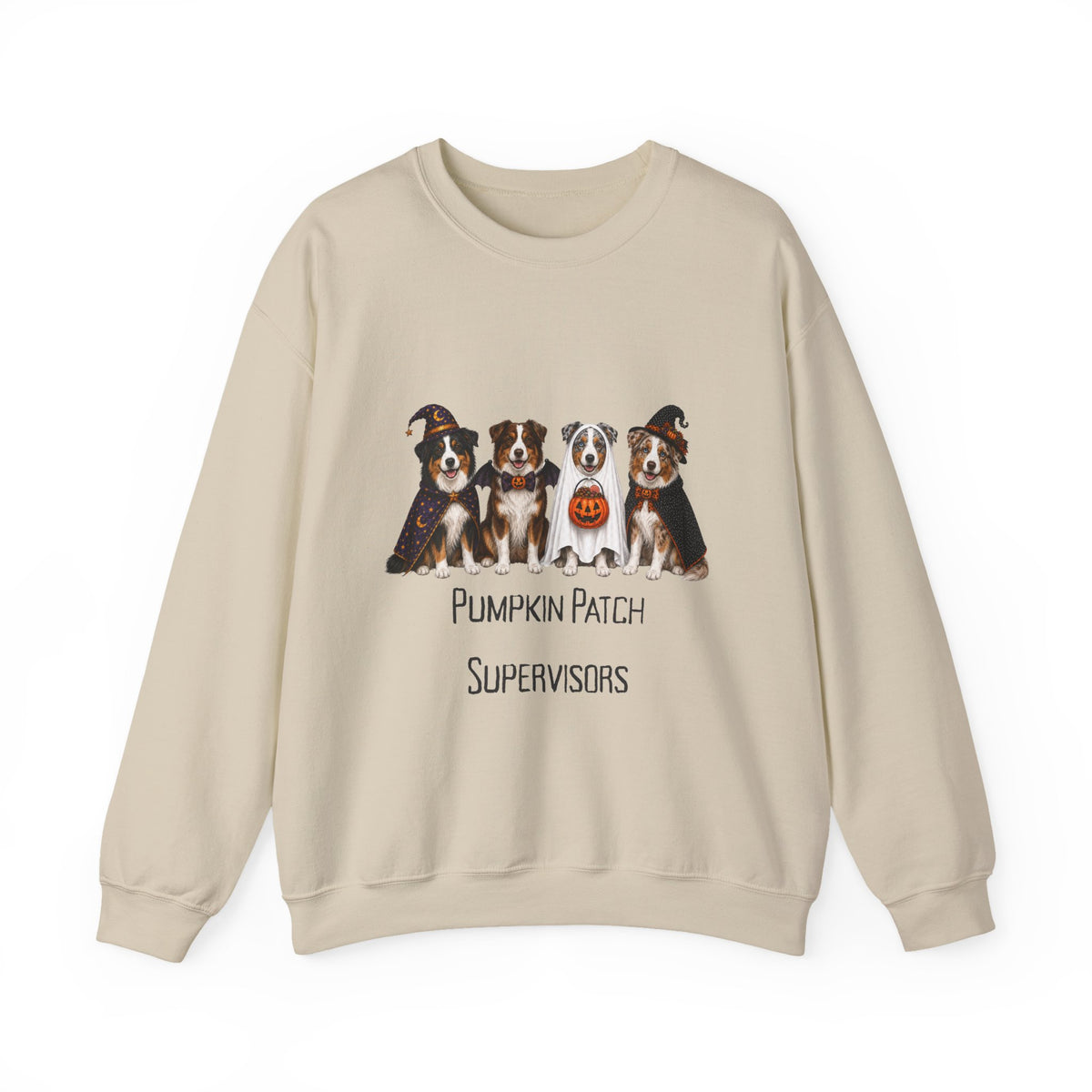 Australian Shepherd Halloween Sweatshirt, Pumpkin Patch Supervisors Fall Dog Lover Gift