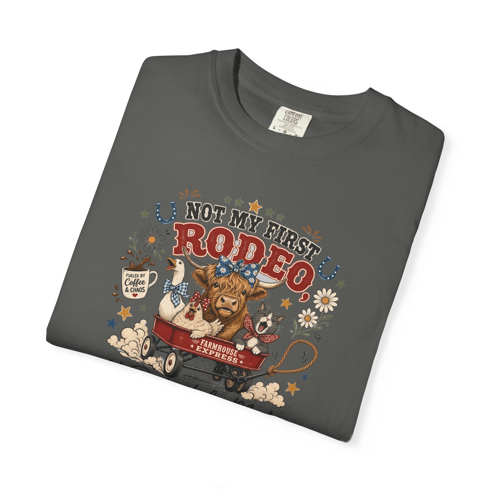 Not My First Rodeo Shirt, Funny Farm Animal Tee, Western Country T-Shirt