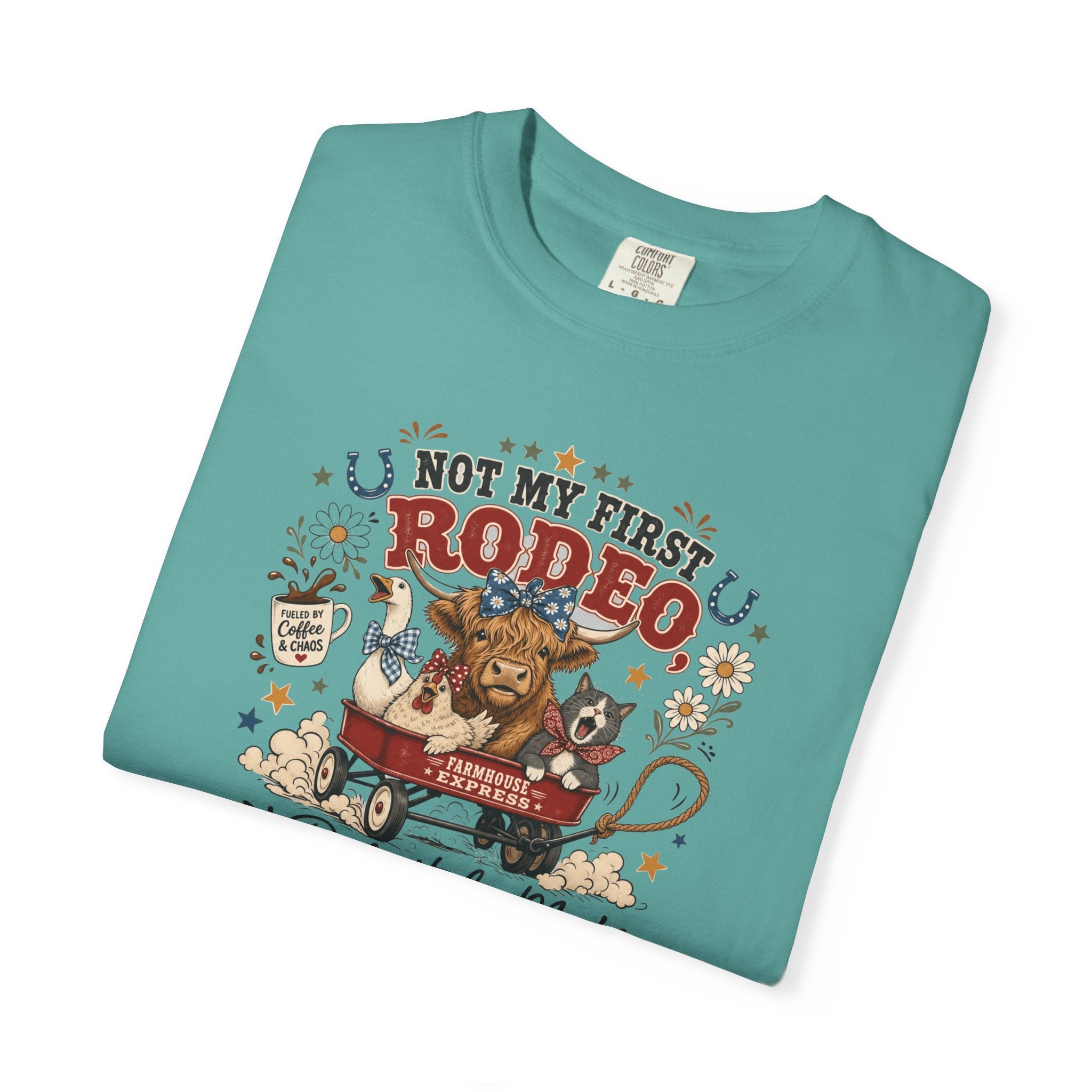 Not My First Rodeo Shirt, Funny Farm Animal Tee, Western Country T-Shirt
