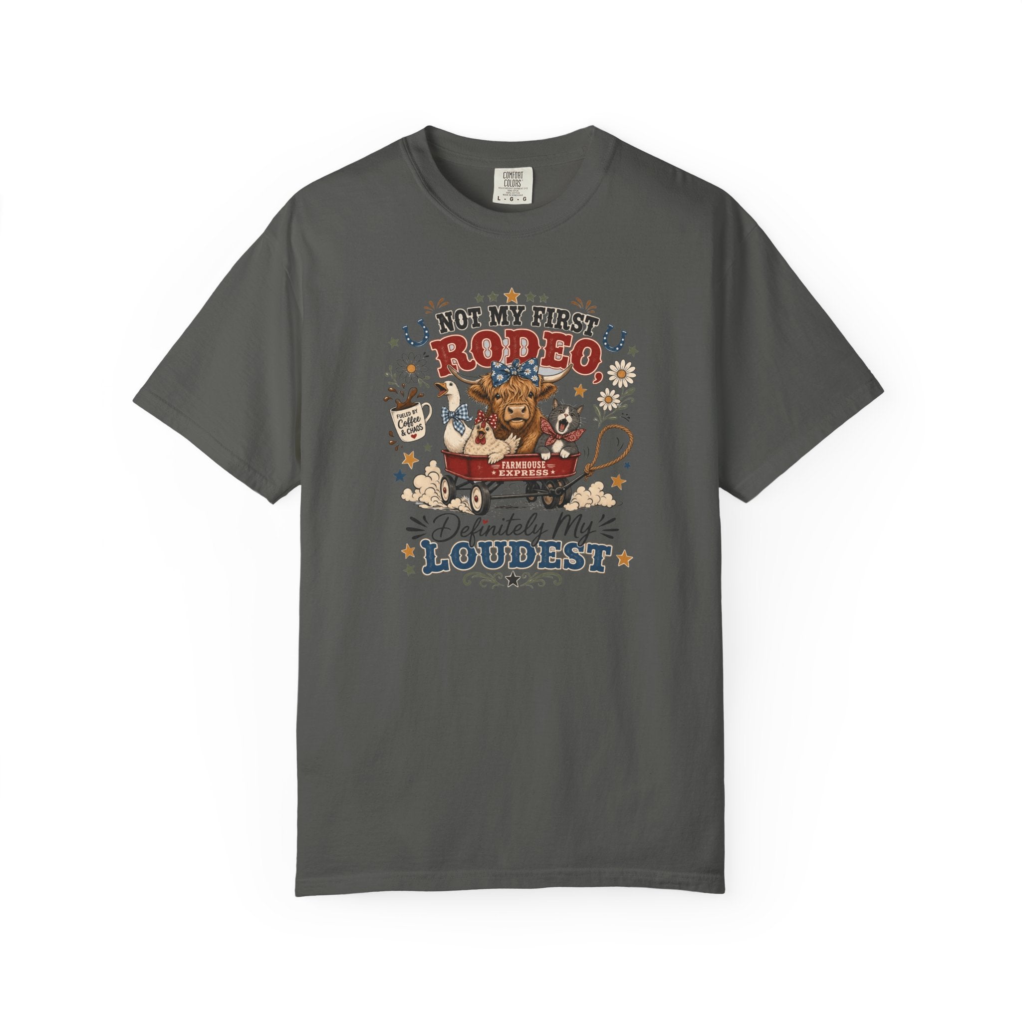 Not My First Rodeo Shirt, Funny Farm Animal Tee, Western Country T-Shirt