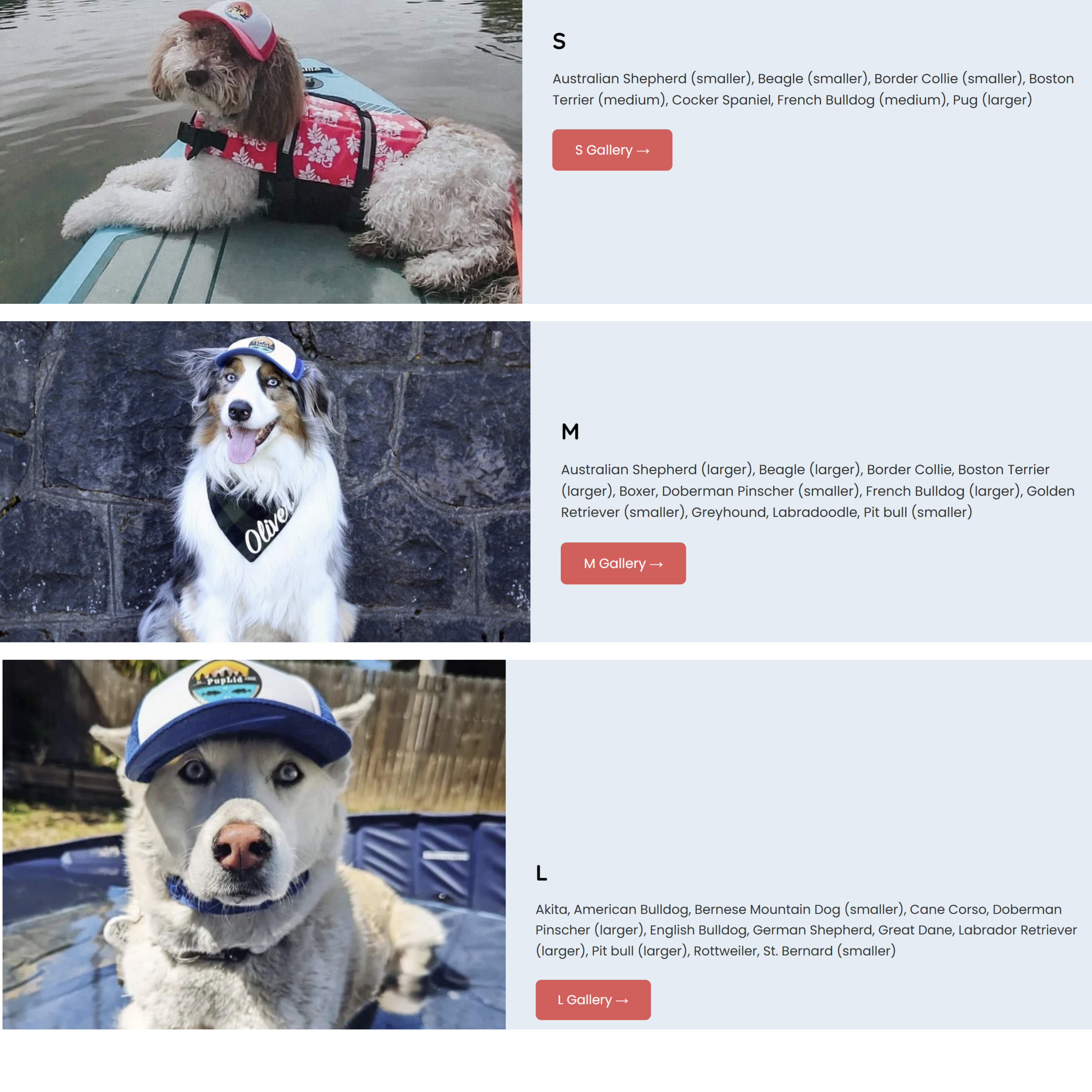 Personalized Dog Foam Trucker Hat