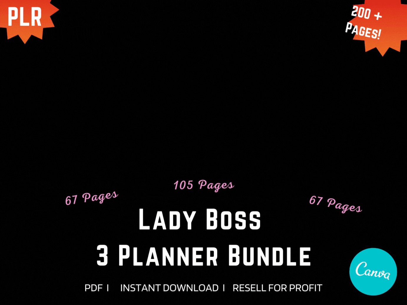 PLR - RESELL - 3 NEW Lady Boss Bundle Planner, Digital Planner, 2023, 24 & 25 Digital Planner, iPad, 200+ pages!  Worth every penny! - Danielle and Jason Baker LLC - Danielle Baker's Boutique