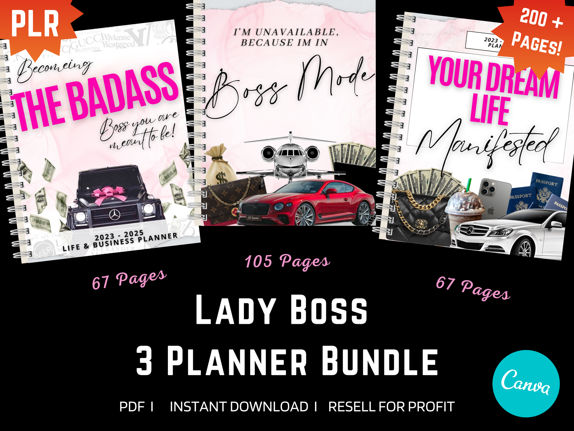 PLR - RESELL - 3 NEW Lady Boss Bundle Planner, Digital Planner, 2023, 24 & 25 Digital Planner, iPad, 200+ pages!  Worth every penny! - Danielle and Jason Baker LLC - Danielle Baker's Boutique