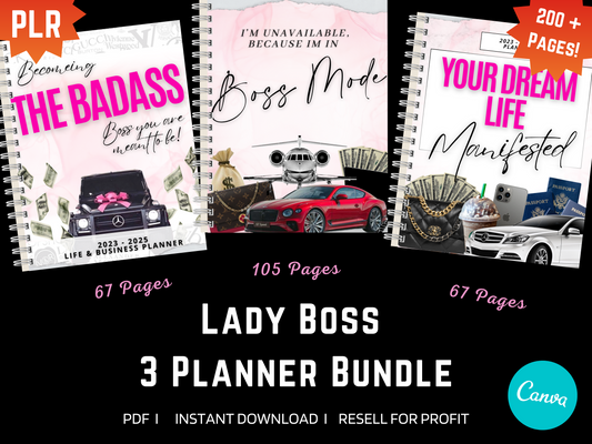 PLR - RESELL - 3 NEW Lady Boss Bundle Planner, Digital Planner, 2023, 24 & 25 Digital Planner, iPad, 200+ pages!  Worth every penny! - Danielle and Jason Baker LLC - Danielle Baker's Boutique