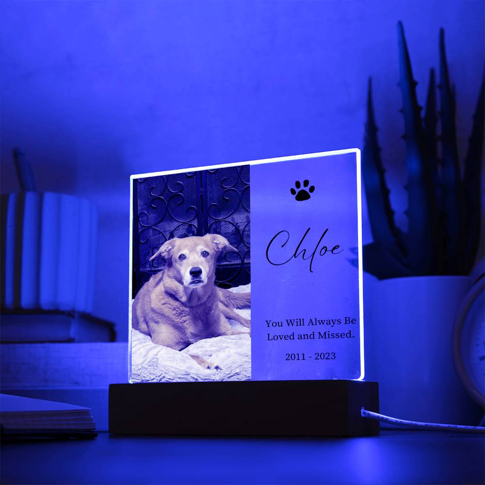 Pet Memorial Custom Acrylic Decor Sign | Personalized Bedroom LED Night Light Option