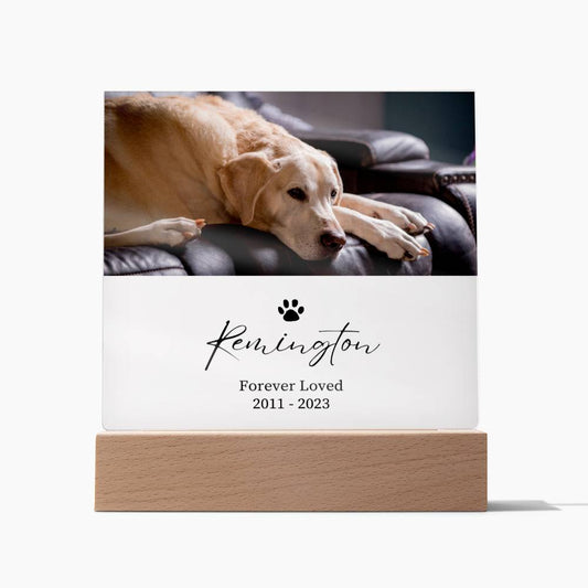 Pet Memorial Custom Acrylic Decor Sign | Personalized Bedroom LED Night Light Option