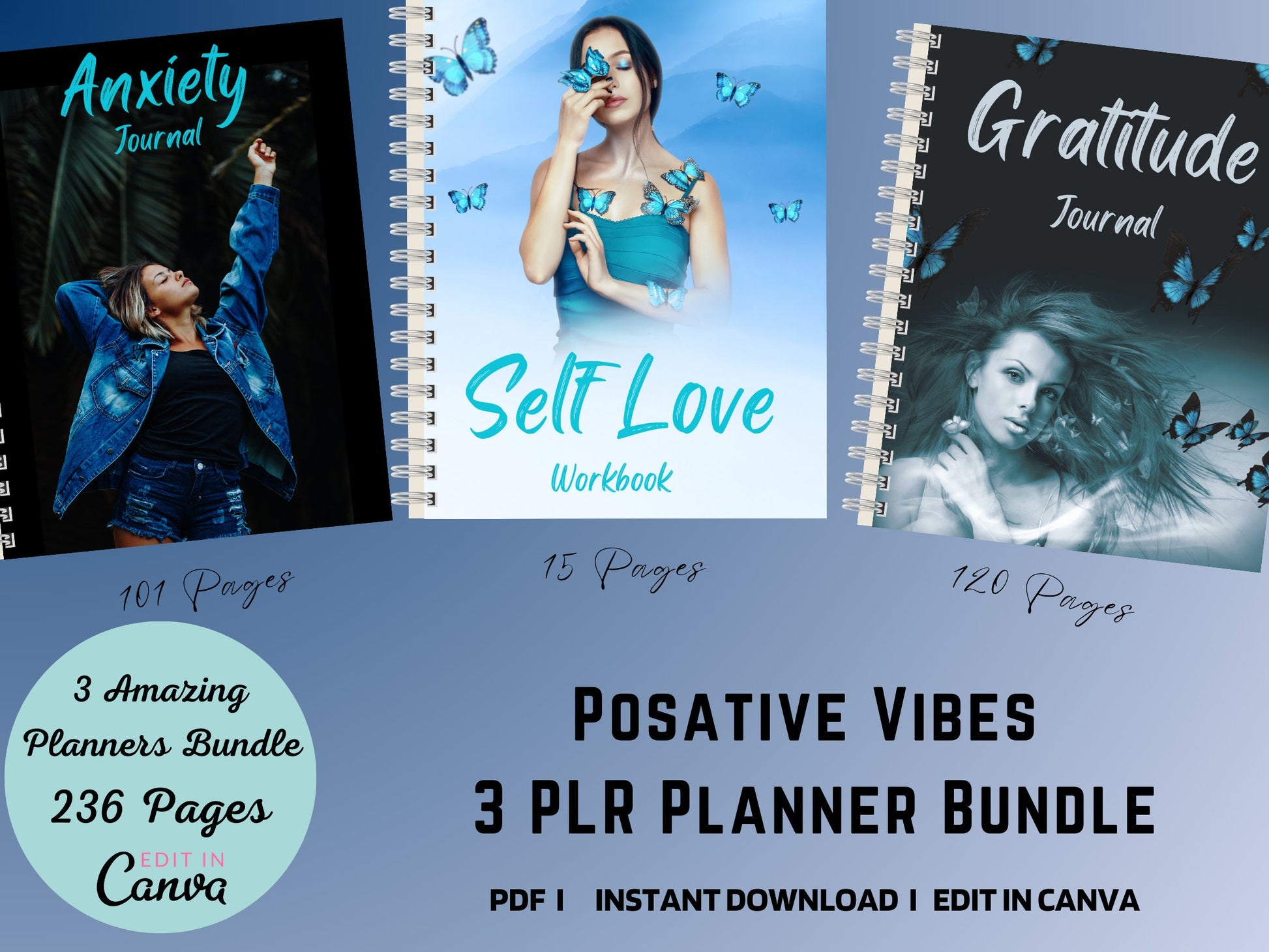 3 Bundle Let's Get It Together PLR Editable Planner, Goodnotes, iPad Planner