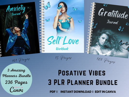 3 Bundle Let's Get It Together PLR Editable Planner, Goodnotes, iPad Planner