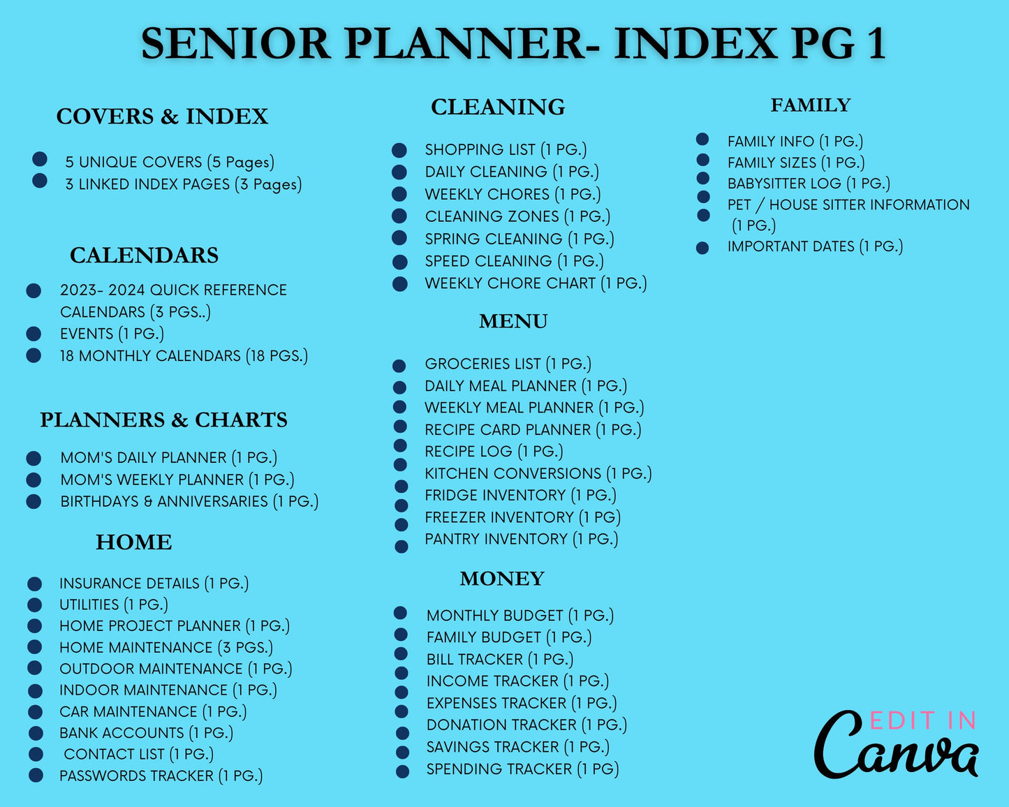 PLR Ultimate SENIOR Printable Planner, Huge 140 Page Planner, 2023 & 2024 Digital Planner, Undated iPad Planner, Home Management