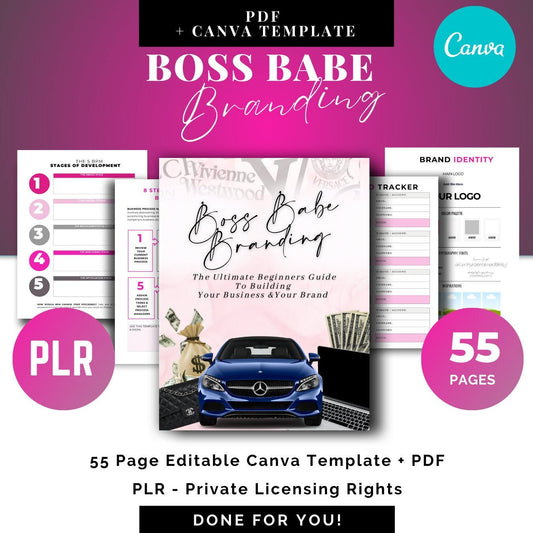 PLR - RESELL - Boss Babe , Start a Business, How to Make Money Online, ChatGPT Bonus, White Label, Private Label